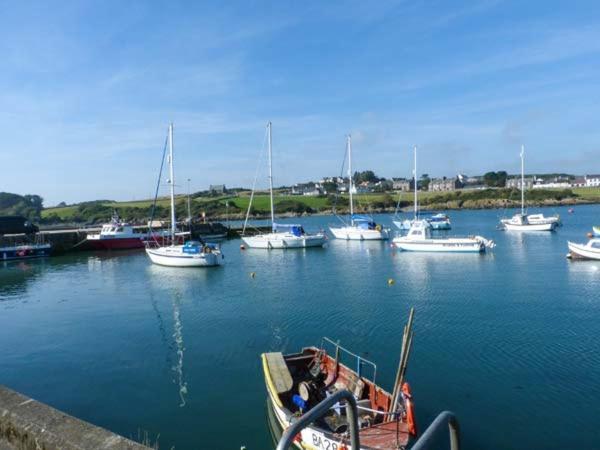 The Clamshell Apartment Isle of Whithorn ภายนอก รูปภาพ